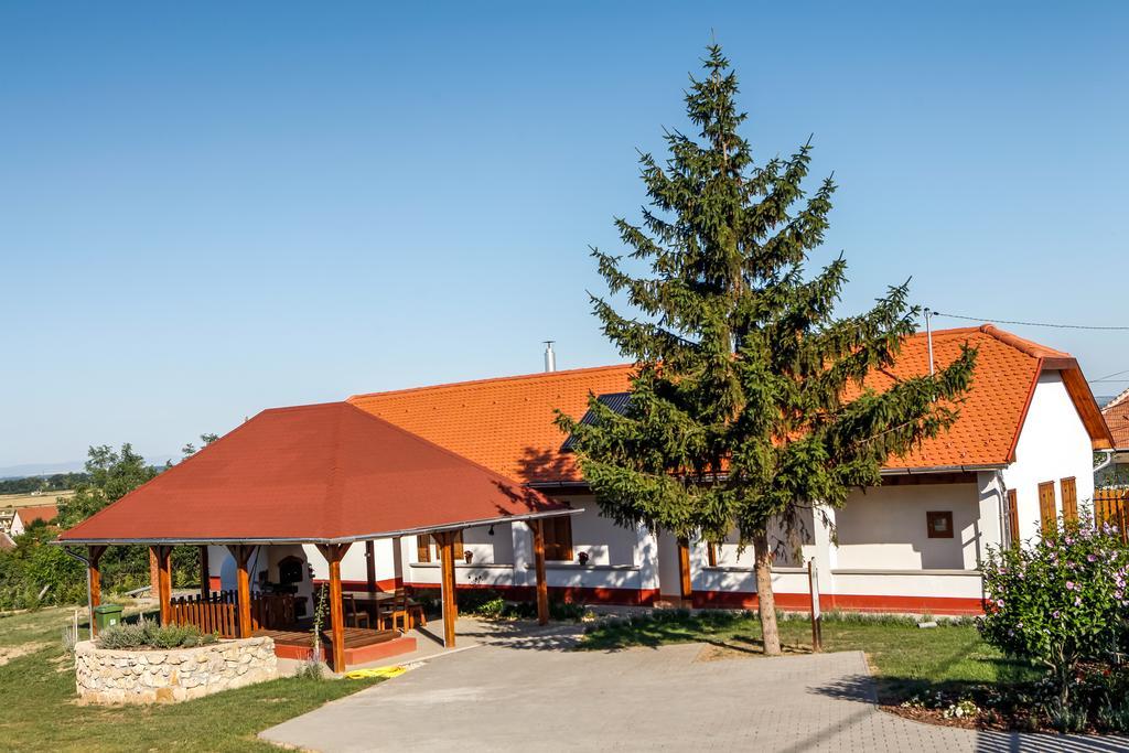 Hotel Katica Vendeghaz Tarcal Zewnętrze zdjęcie