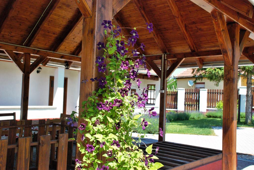 Hotel Katica Vendeghaz Tarcal Zewnętrze zdjęcie