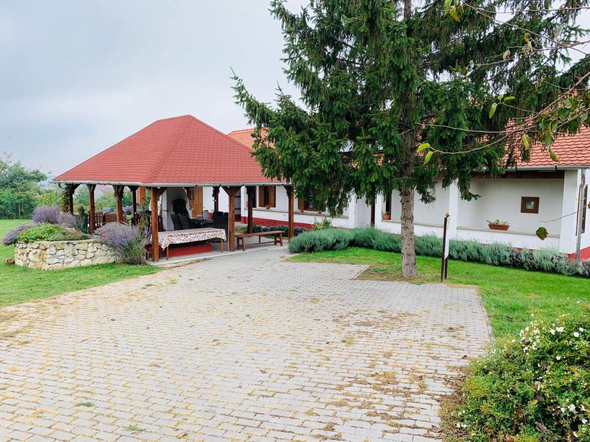 Hotel Katica Vendeghaz Tarcal Zewnętrze zdjęcie